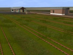 Rusty track in 2m, 4m, 8m and 16m lengths. Rusty rails, clean, stained or overgrown trackbed, grey or brown ballast.